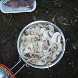Podsatwa