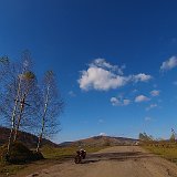 56
