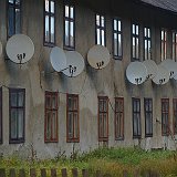 61