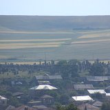 403