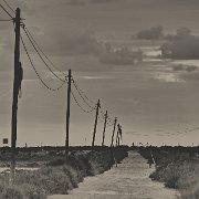 259