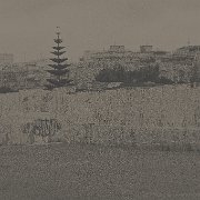 306