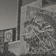 113