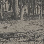 128