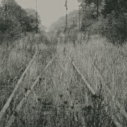 89