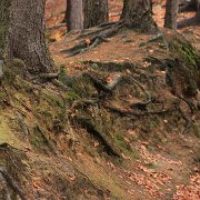 IMG_5801