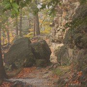 IMG_5827
