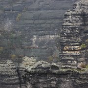 IMG_5878