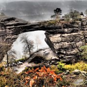 PA220719
