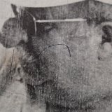 5w